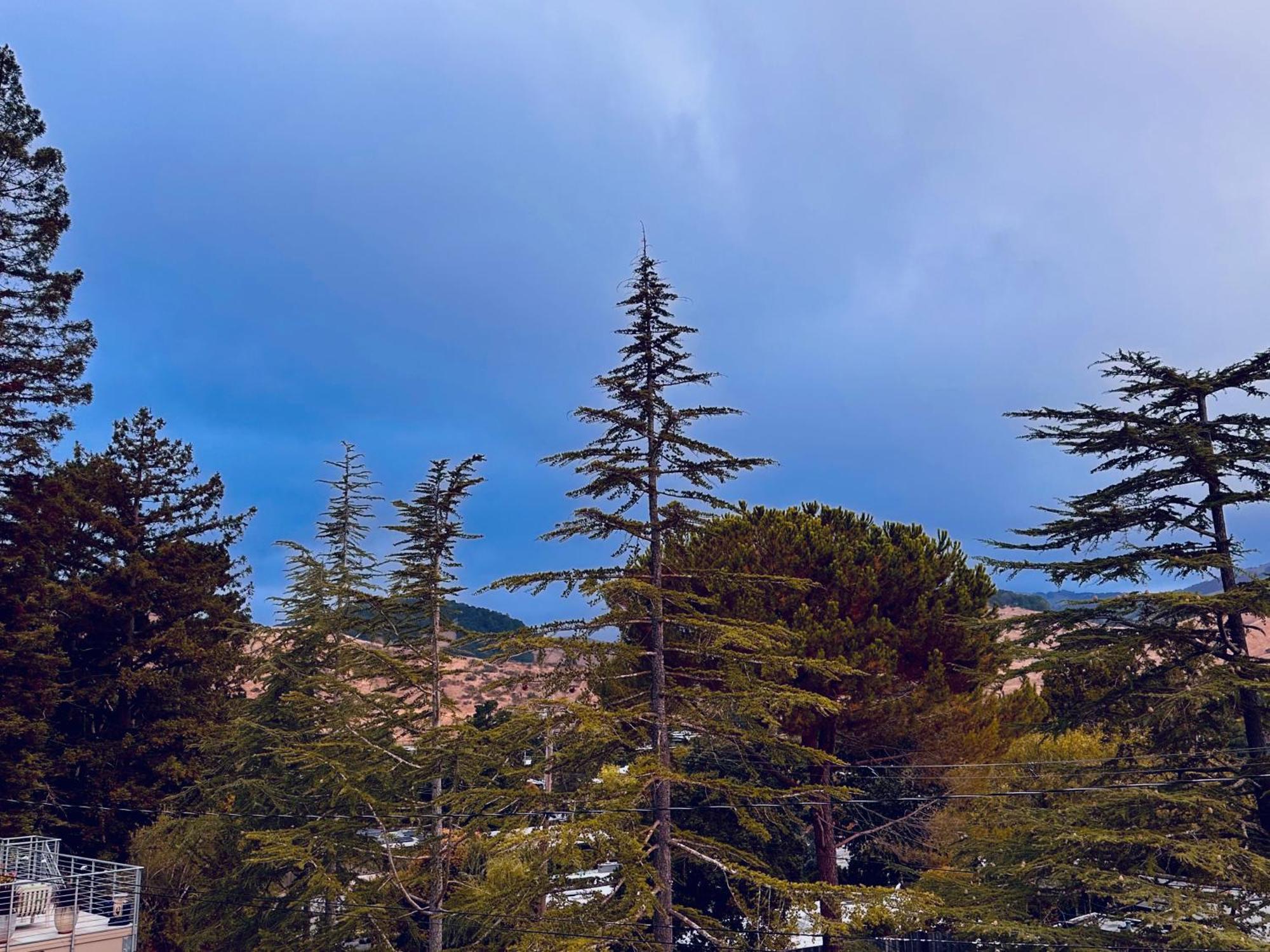 Luxury Suite With Views - San Rafael, Gateway To Sf & Wine Country エクステリア 写真